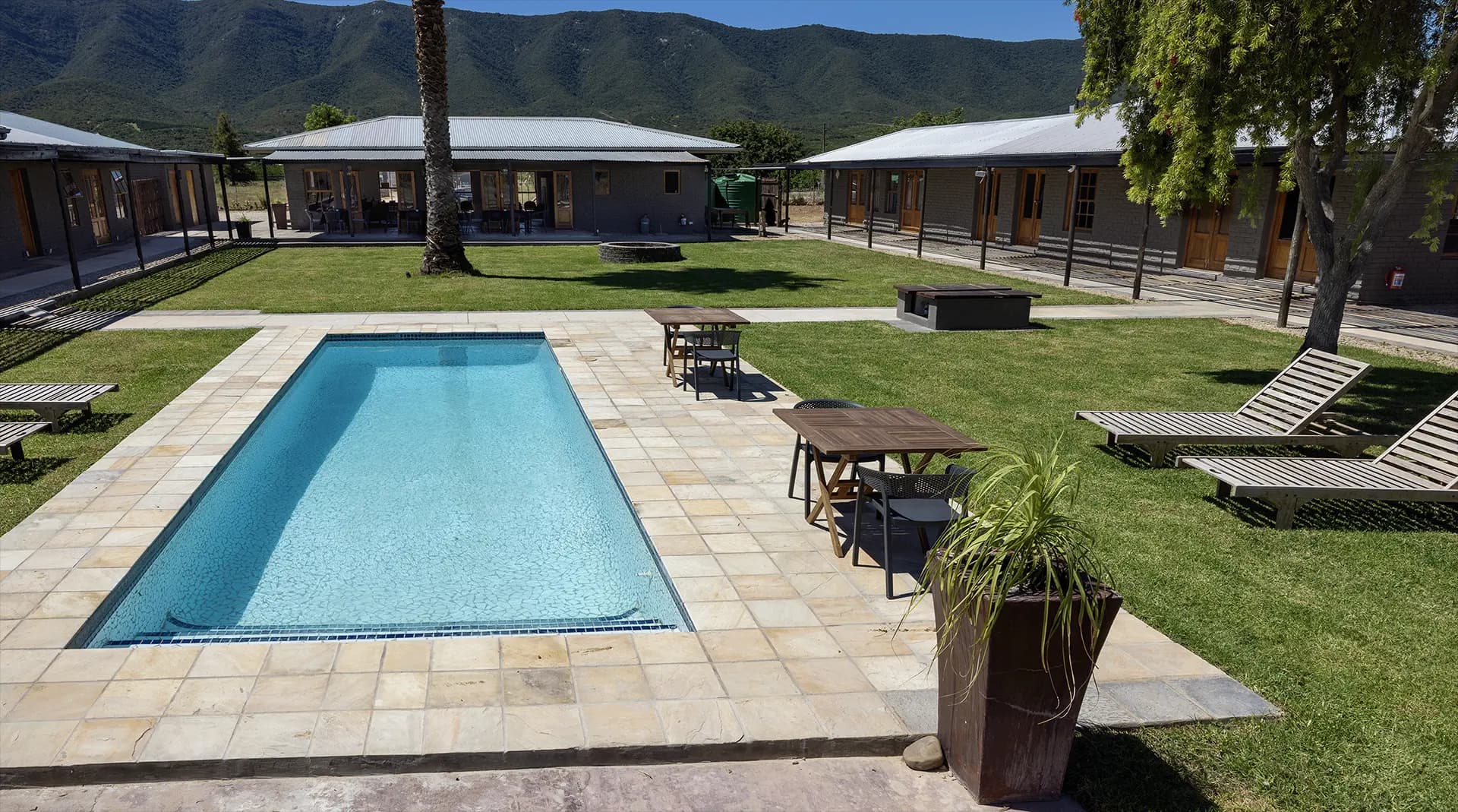 Sparkling swimming pool in the garden