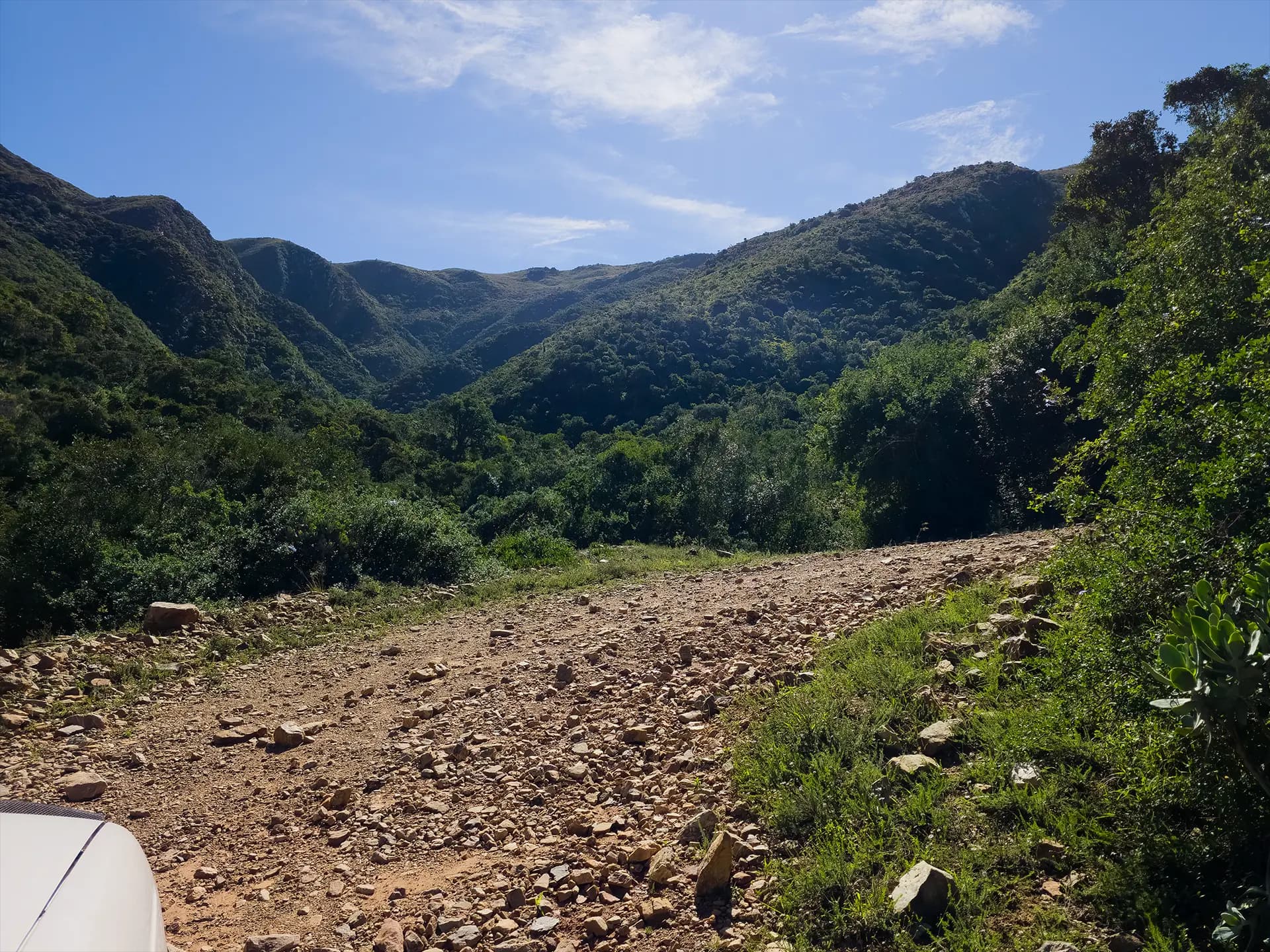 Green kloof in the hills near Addo